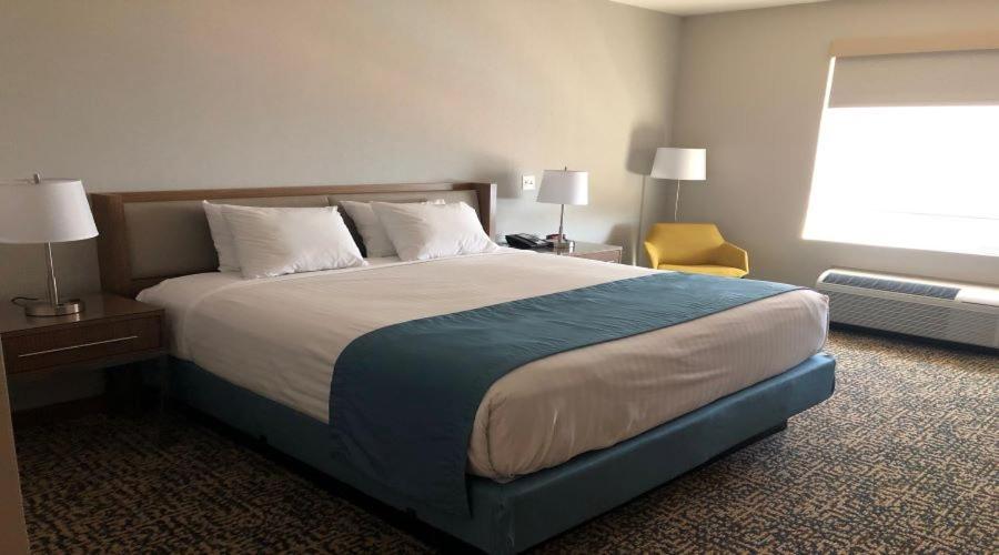 Havasu Landing Resort And Casino Havasu Lake Екстериор снимка