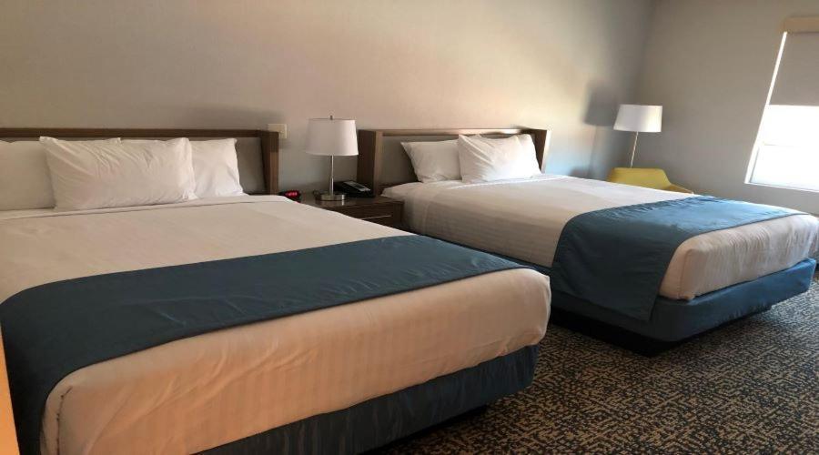 Havasu Landing Resort And Casino Havasu Lake Екстериор снимка
